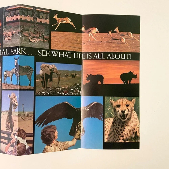 Vintage Lot of 6  San Diego Brochures Park Zoo Hotel Museum Pamphlets - Picture 13 of 16